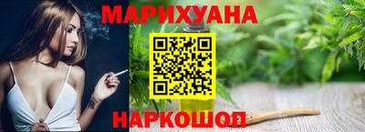 шишки Можга