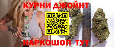 шишки Можга