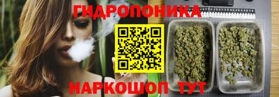 шишки Можга