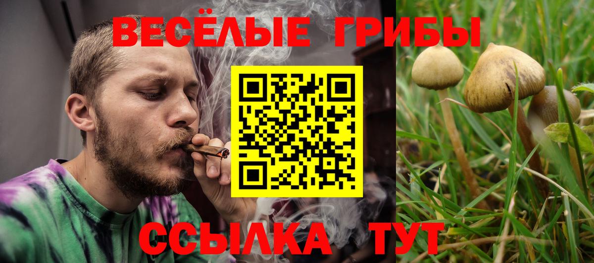 Псилоцибиновые грибы ЛСД  Вход с VPN  Великий Устюг  Псилоцибиновые грибы Cubensis 